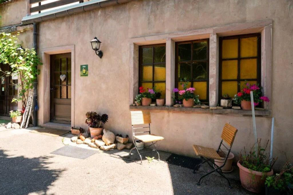 Gite L'Oeuf Ou La Poule, Parking Prive, Sur Domaine Viticole 리보빌레 외부 사진